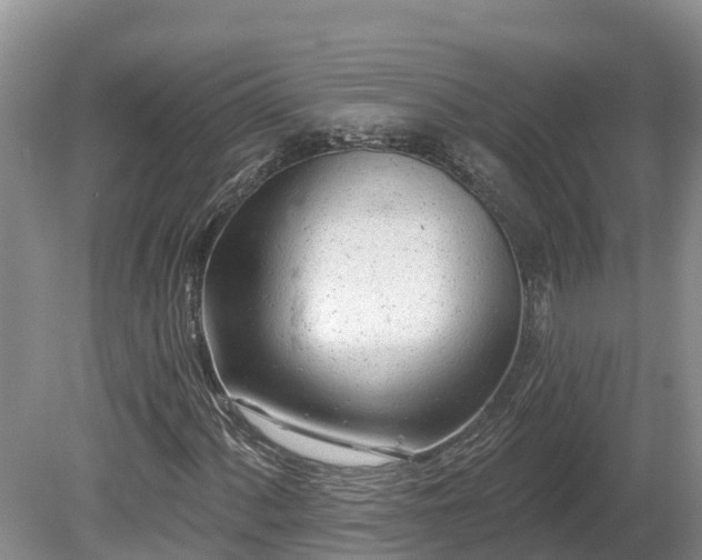 X0000080741060200612221313