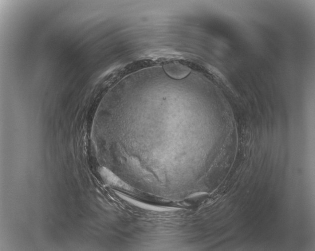 X0000080741063200612221313