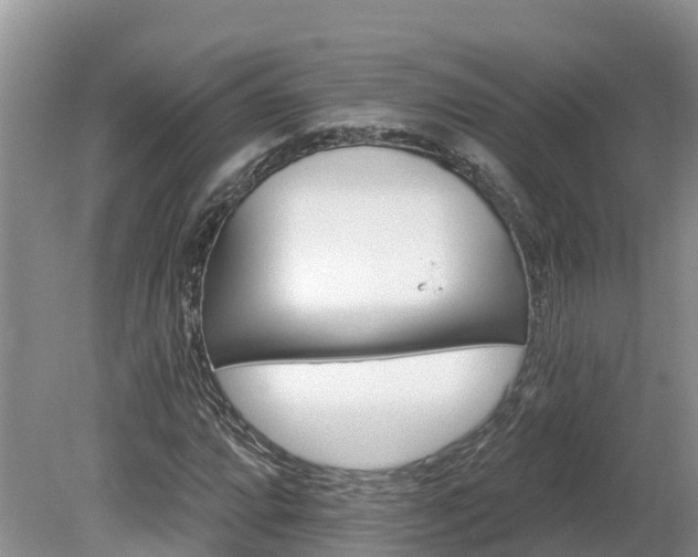 X0000080741064200612221313