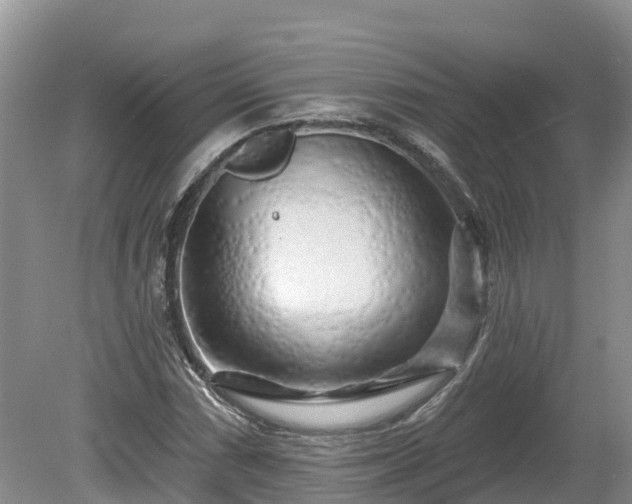 X0000080741066200612221313