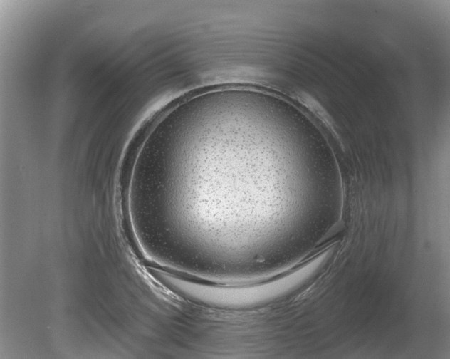 X0000080741072200612221313