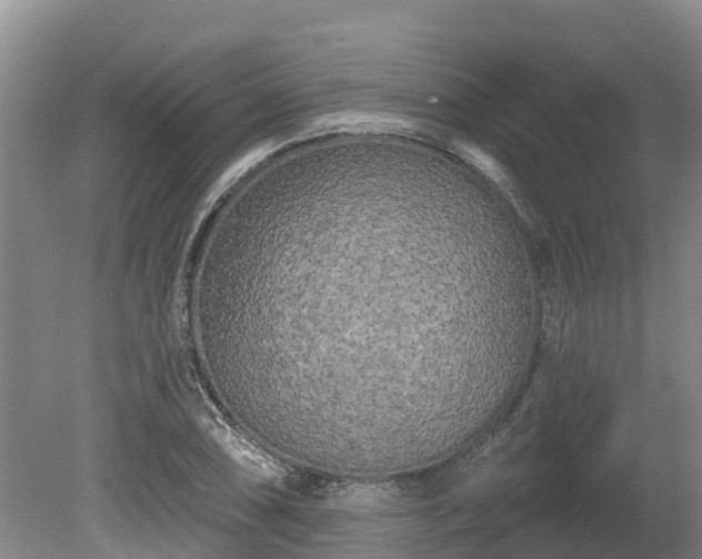 X0000080741074200612221313
