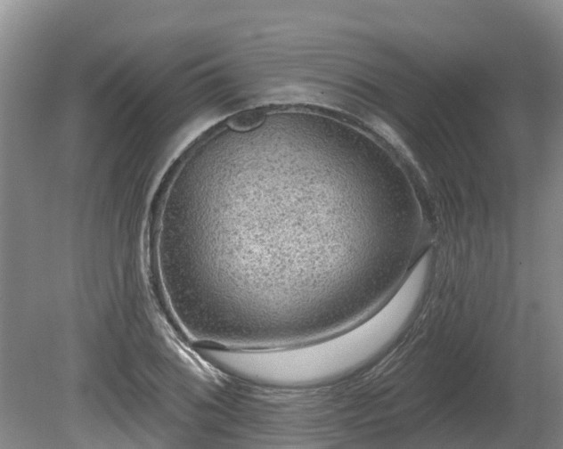 X0000080741076200612221313