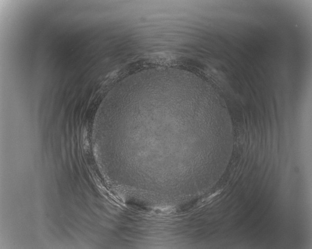 X0000080741106200612221311
