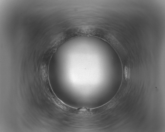 X0000080741107200612221311
