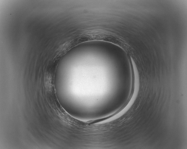 X0000080741108200612221311