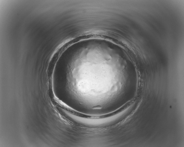 X0000080741117200612221312