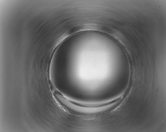 X0000080741137200612221312