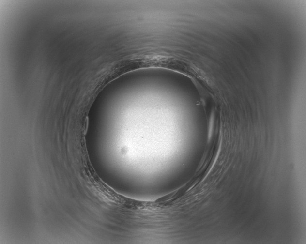 X0000080741153200612221311