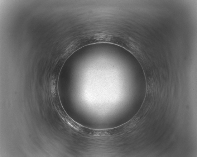 X0000080741154200612221311