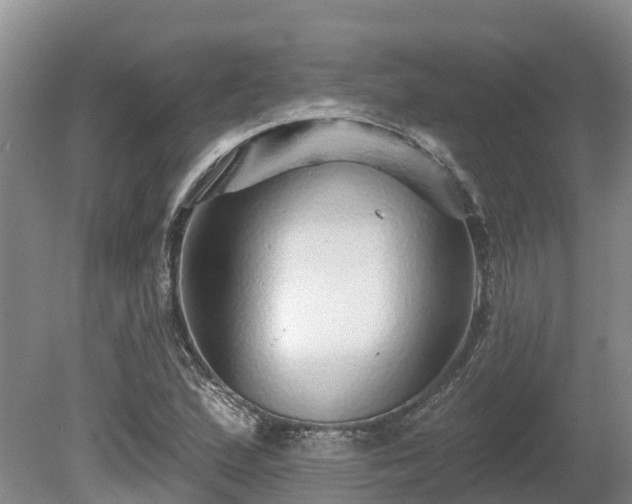 X0000080741167200612221311