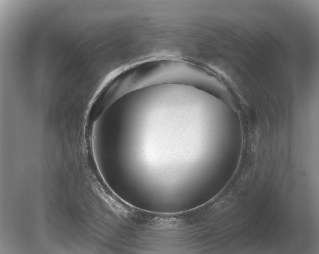 X0000080741168200612221311