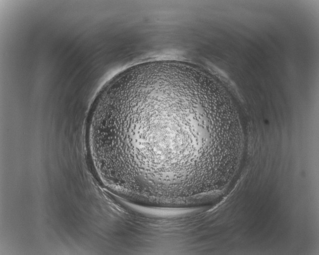 X0000080741174200612221311