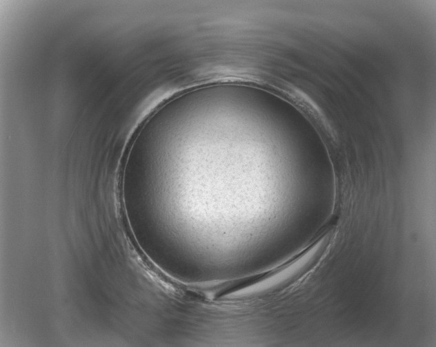 X0000080741182200612221311