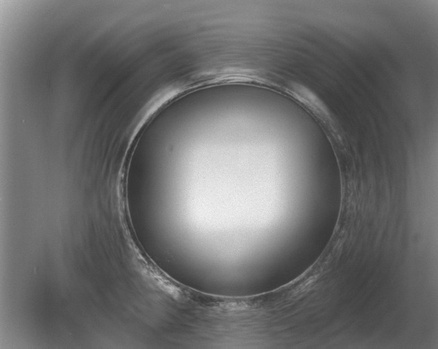 X0000080741190200612221311