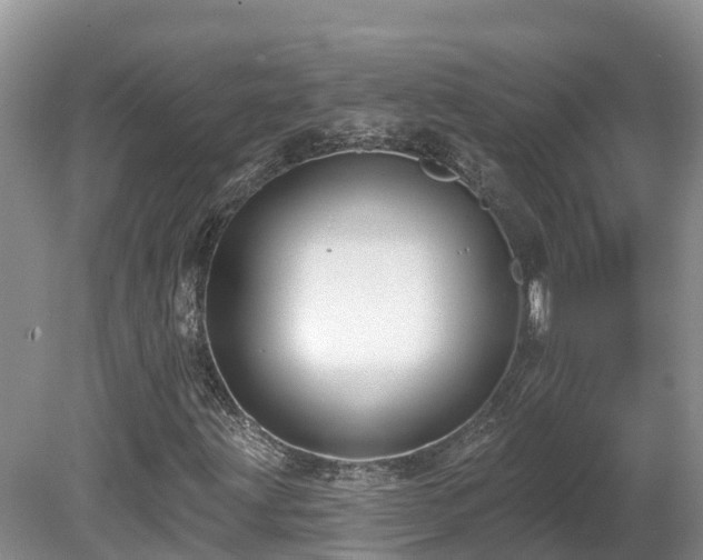 X0000080741203200612221310
