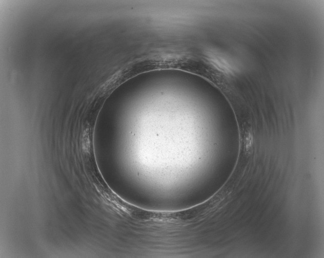 X0000080741204200612221310