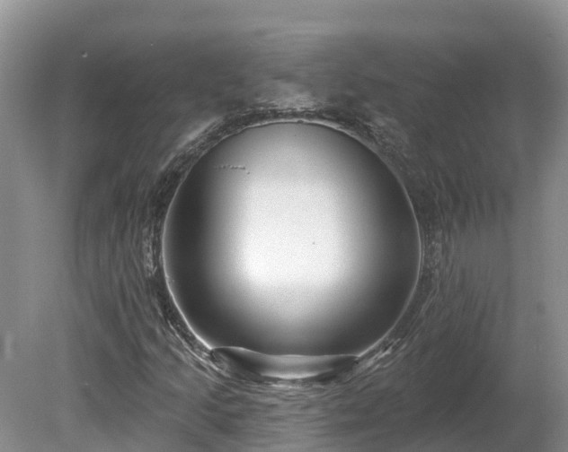 X0000080741205200612221310