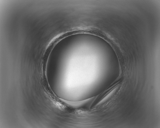 X0000080741214200612221310