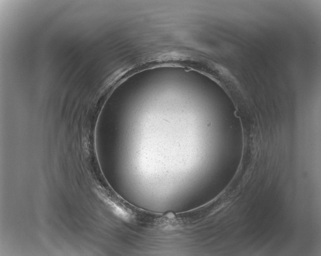 X0000080741217200612221310