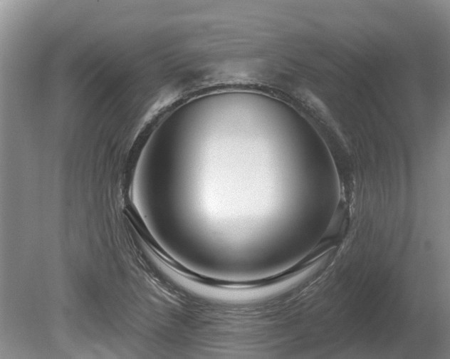 X0000080741218200612221310