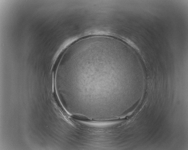 X0000080741223200612221310