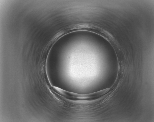 X0000080741225200612221310