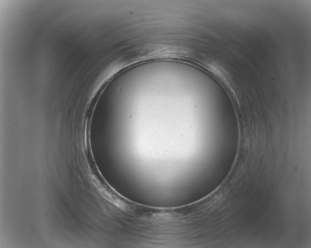 X0000080741227200612221310