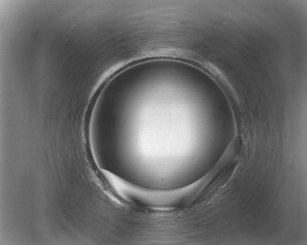 X0000080741230200612221310