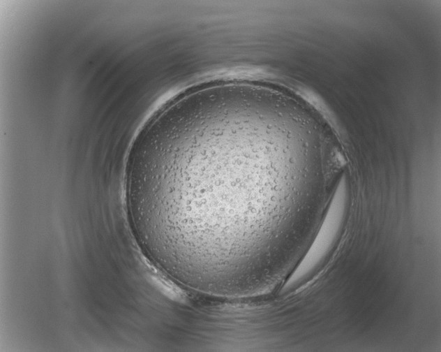 X0000080741232200612221310