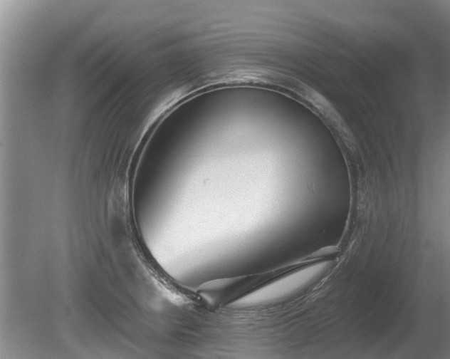 X0000080741234200612221310