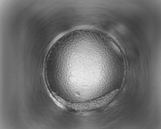 X0000080741245200612221310