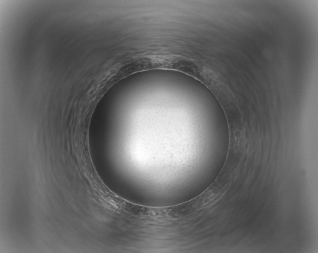 X0000080741249200612221310