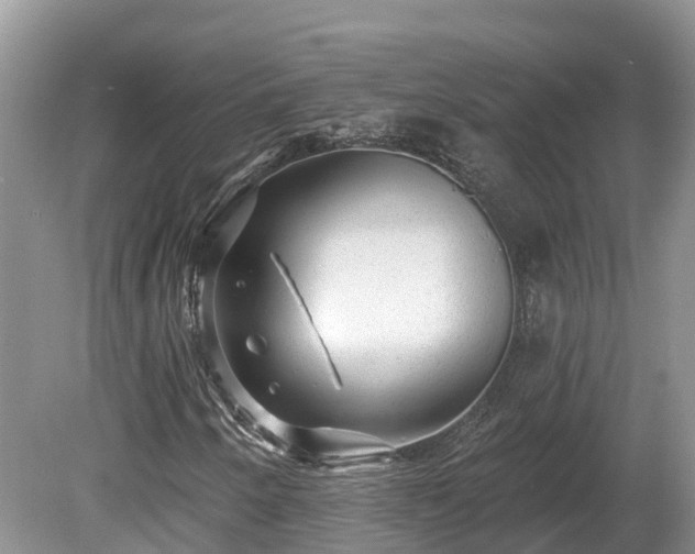 X0000080741250200612221310