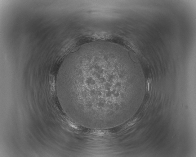 X0000080741251200612221310
