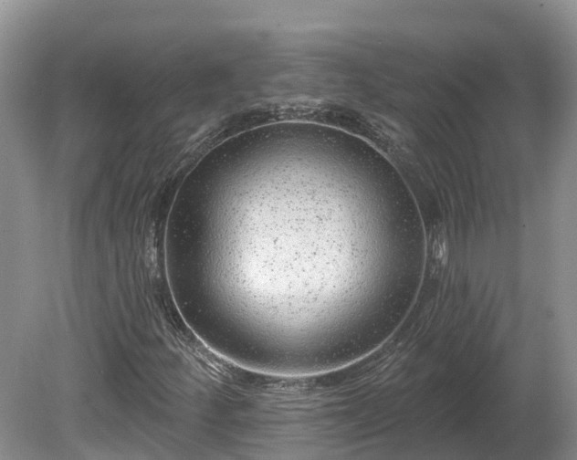 X0000080741252200612221310