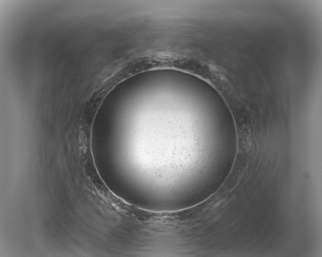 X0000080741253200612221310