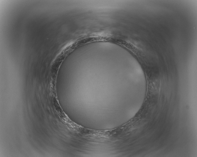 X0000080741254200612221310