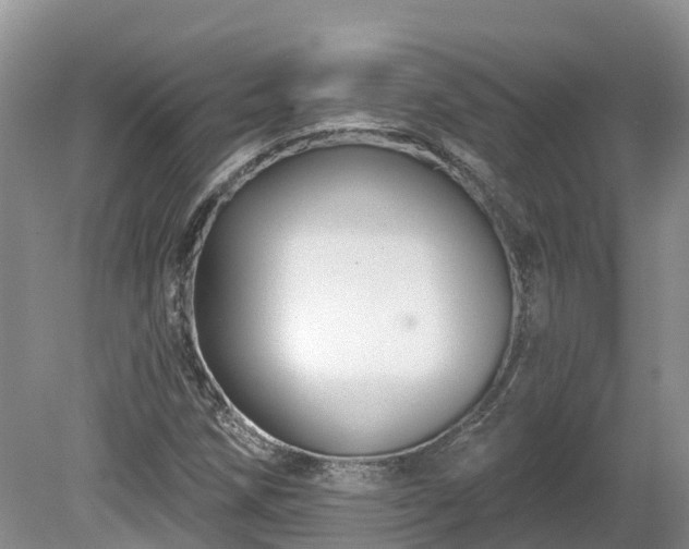 X0000080741258200612221310