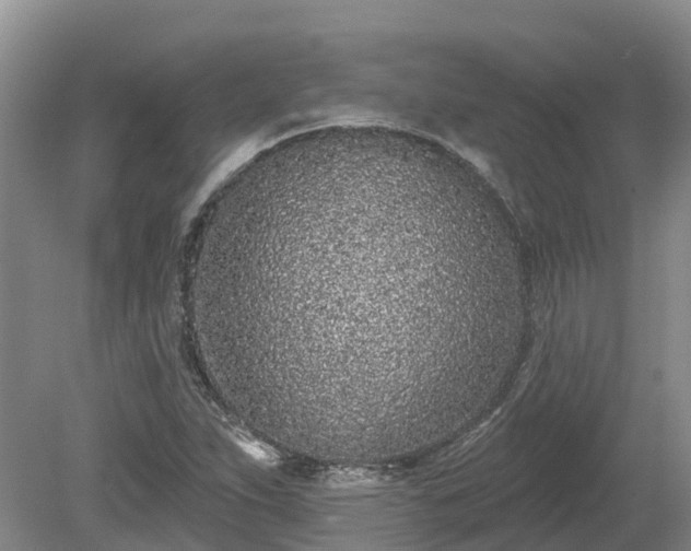 X0000080741263200612221309