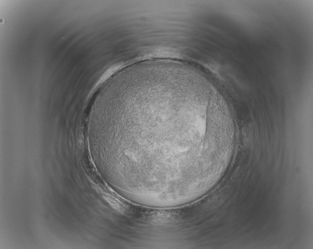 X0000080741266200612221309