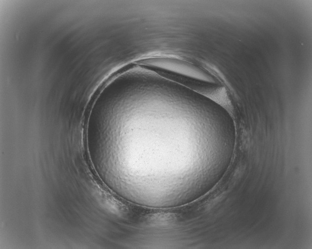 X0000080741268200612221309