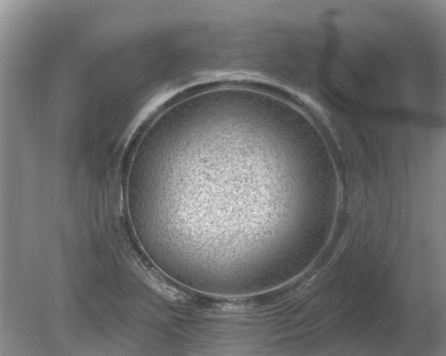 X0000080741271200612221309
