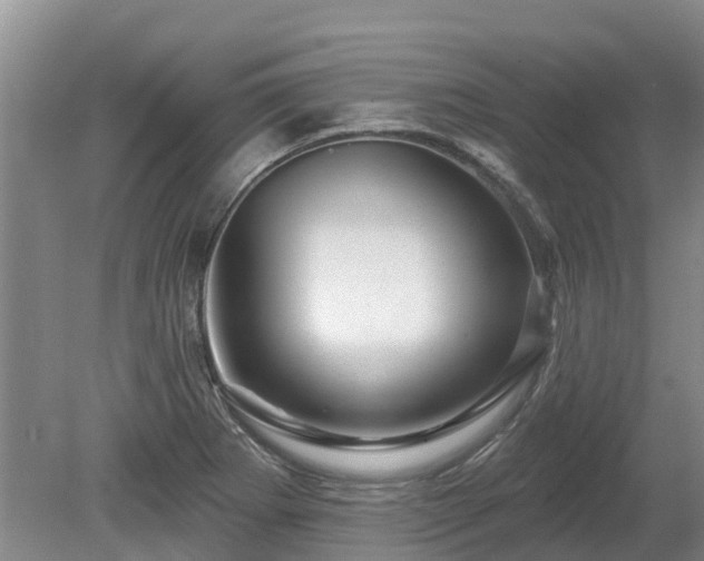 X0000080741273200612221309
