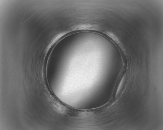 X0000080741277200612221309