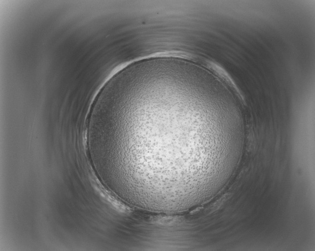 X0000080741284200612221309