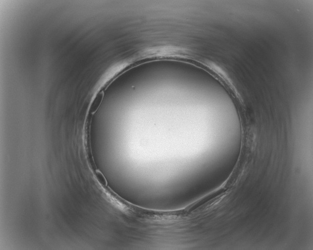 X0000080741285200612221309