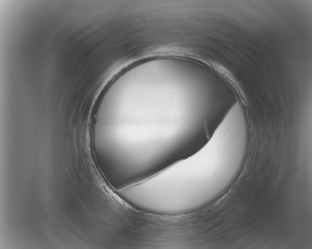 X0000080741288200612221309