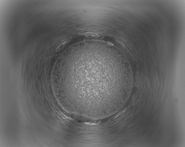 X0000080741297200612221308