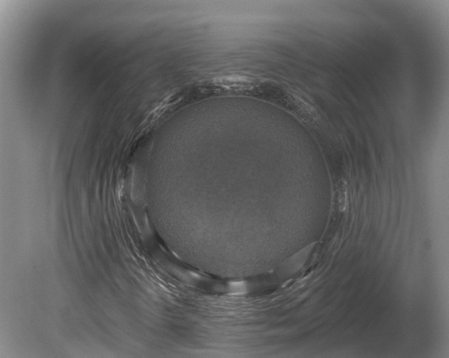 X0000080741298200612221308
